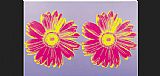 Pink Wall Art - Daisy Double Pink